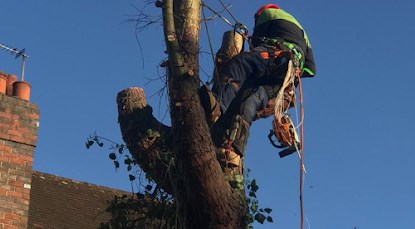  A&T Tree Removal